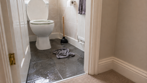 Southampton bathroom with a backed-up toilet warning sign and drainage equipment nearby showing when toilet problems may point to a blocked drain.